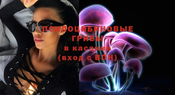 прущие крисы Инта