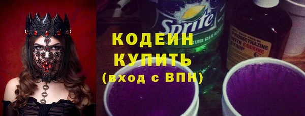 прущие крисы Инта