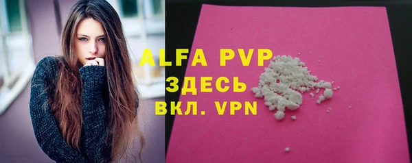 a pvp Каменногорск