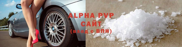 ГАЛЛЮЦИНОГЕННЫЕ ГРИБЫ Иннополис