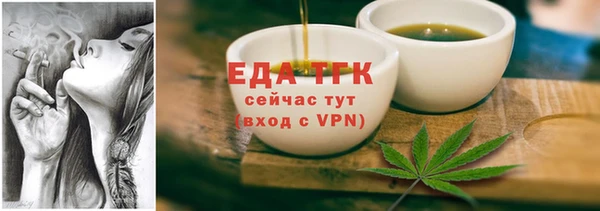 амф Каменка