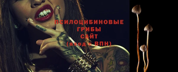 прущие крисы Инта