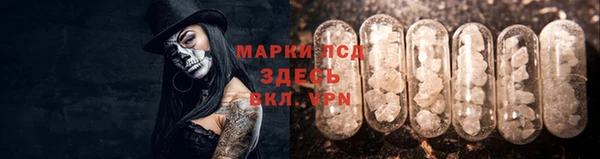 прущие грибы Зерноград
