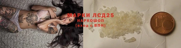 a pvp Каменногорск
