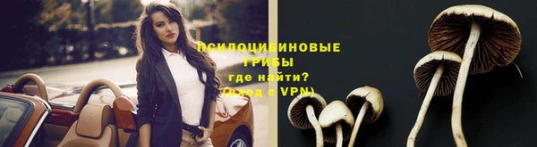 a pvp Каменногорск
