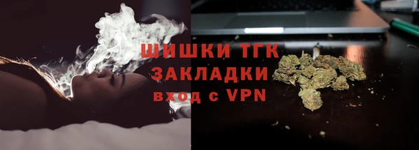 прущие крисы Инта