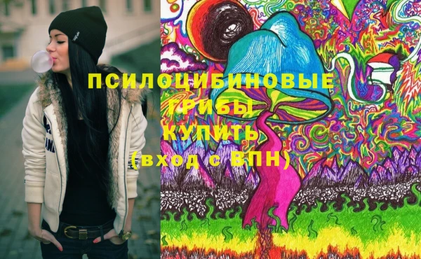 ГАЛЛЮЦИНОГЕННЫЕ ГРИБЫ Иннополис