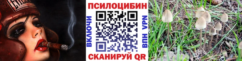 Псилоцибиновые грибы Magic Shrooms  кракен как зайти  Краснозаводск  купить наркотики сайты 